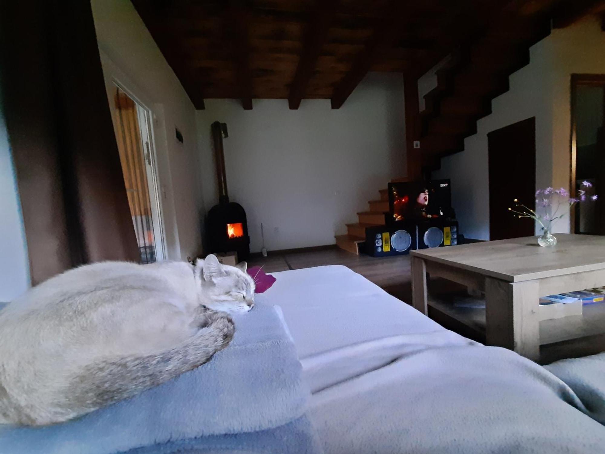 Mountain Cozy Home Sub Cetate Екстериор снимка